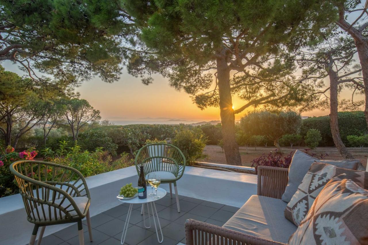 לגוניסי Villa Oasis With Large Pool Athenian Riviera Lagonissi מראה חיצוני תמונה