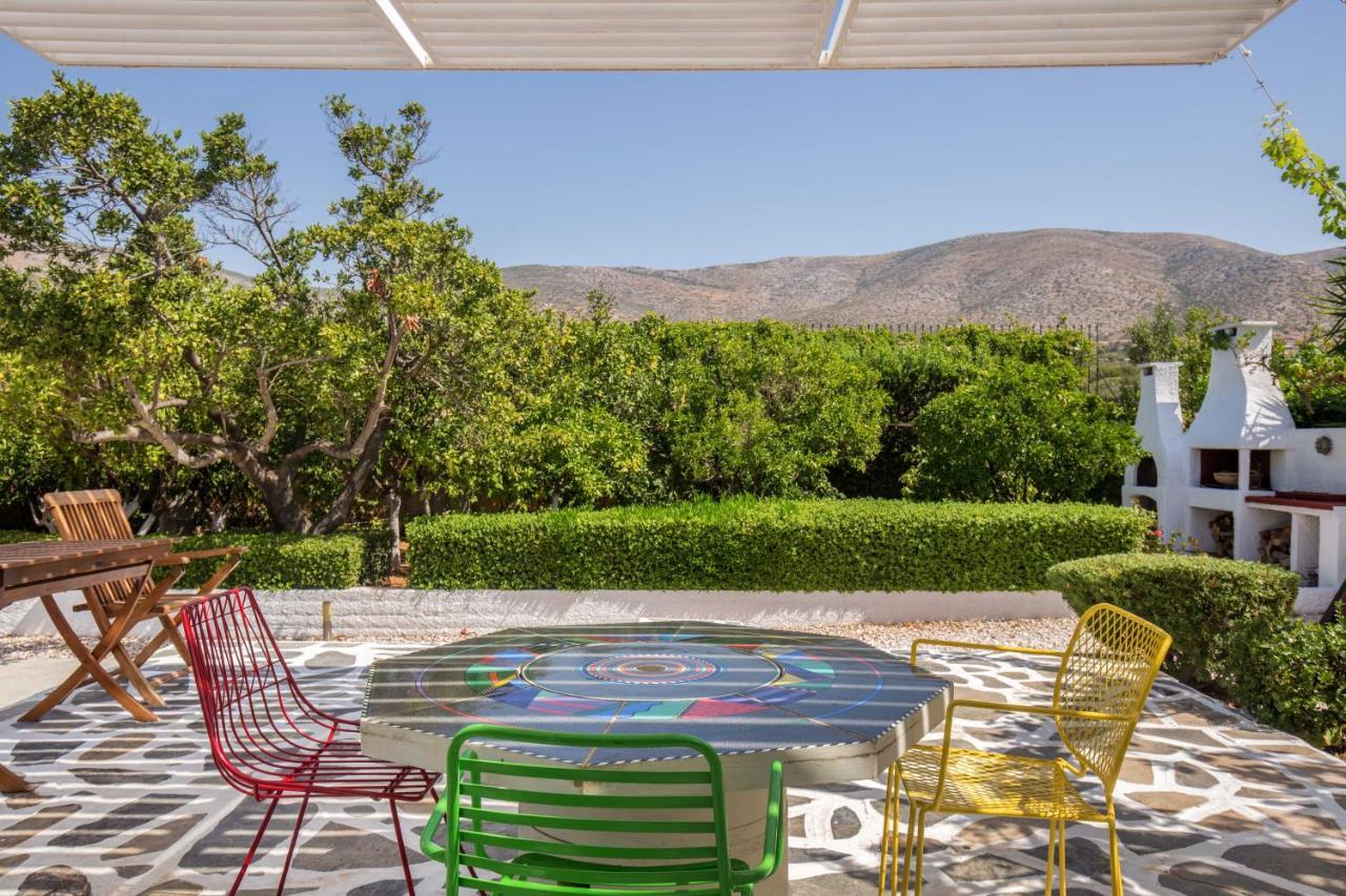 לגוניסי Villa Oasis With Large Pool Athenian Riviera Lagonissi מראה חיצוני תמונה