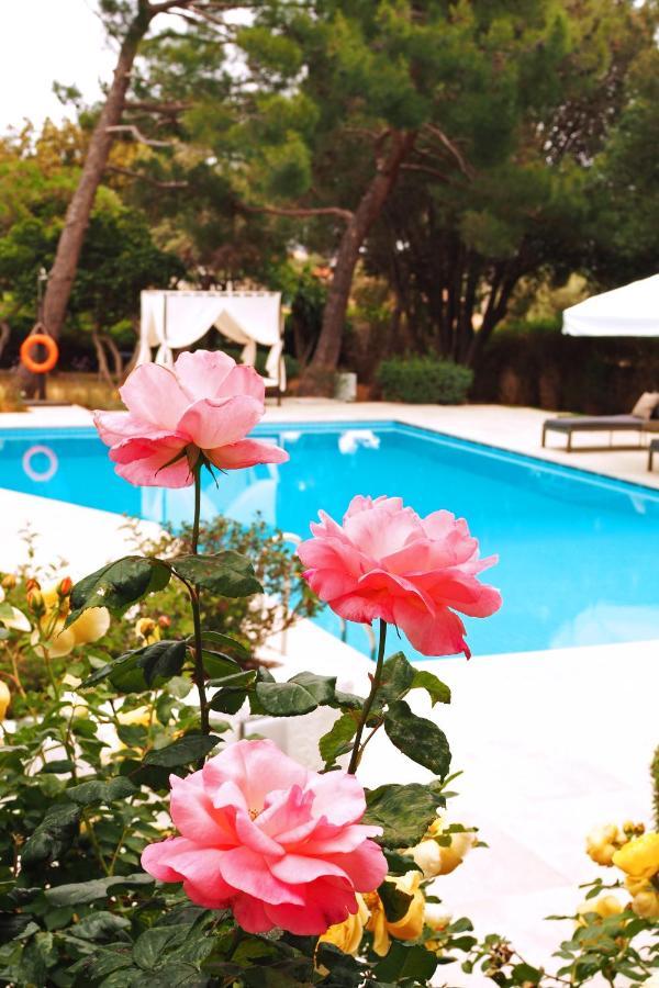 לגוניסי Villa Oasis With Large Pool Athenian Riviera Lagonissi מראה חיצוני תמונה