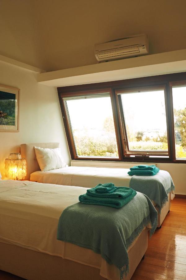 לגוניסי Villa Oasis With Large Pool Athenian Riviera Lagonissi מראה חיצוני תמונה